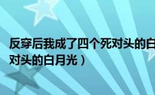 反穿后我成了四个死对头的白月光txt（反穿后我成了四个死对头的白月光）