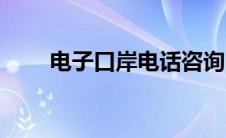 电子口岸电话咨询（电子口岸电话）