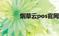 烟草云pos官网（烟草云pos）