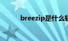 breezip是什么软件（breezip）