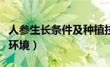 人参生长条件及种植技术（人参的种植和生长环境）