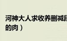 河神大人求收养删减段（河神大人求收养被删的肉）