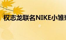 权志龙联名NIKE小雏菊鞋子（小雏菊鞋子）