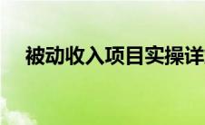 被动收入项目实操详解（被动收入项目）