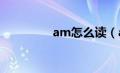 am怎么读（amy怎么读）