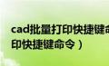 cad批量打印快捷键命令是什么（cad批量打印快捷键命令）