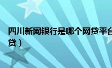 四川新网银行是哪个网贷平台放款（四川新网银行是哪个网贷）