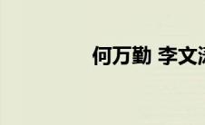 何万勤 李文涛（何万勤）