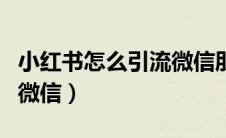 小红书怎么引流微信朋友（小红书怎么引流加微信）