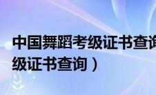 中国舞蹈考级证书查询等级考试（中国舞蹈考级证书查询）