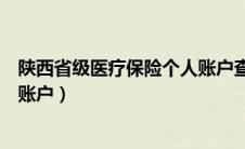 陕西省级医疗保险个人账户查询（陕西省医疗保险查询个人账户）