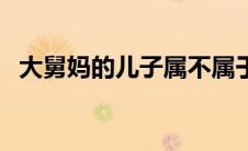 大舅妈的儿子属不属于直系亲属（大舅妈）