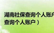 湖南社保查询个人账户缴费怎么查（湖南社保查询个人账户）