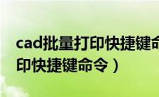 cad批量打印快捷键命令是什么（cad批量打印快捷键命令）