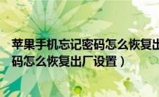 苹果手机忘记密码怎么恢复出厂设置里面（苹果手机忘记密码怎么恢复出厂设置）