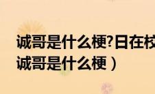 诚哥是什么梗?日在校园不是07年的动漫么（诚哥是什么梗）