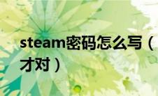 steam密码怎么写（steam密码怎么样格式才对）