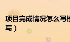 项目完成情况怎么写模板（项目完成情况怎么写）