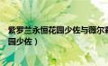 紫罗兰永恒花园少佐与薇尔莉特在一起了吗（紫罗兰永恒花园少佐）