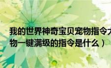 我的世界神奇宝贝宠物指令大全（MC神奇宝贝让自己的宠物一键满级的指令是什么）