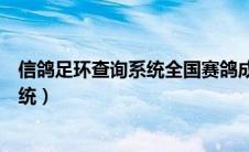 信鸽足环查询系统全国赛鸽成绩查询（中国信鸽足环查询系统）