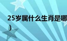 25岁属什么生肖是哪一年（25岁属什么生肖）