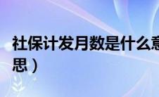 社保计发月数是什么意思（计发月数是什么意思）