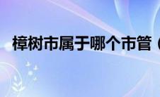 樟树市属于哪个市管（樟树市属于哪个市）