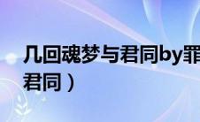 几回魂梦与君同by罪化讲什么（几回魂梦与君同）