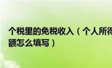 个税里的免税收入（个人所得税申报中的收入额和免税收入额怎么填写）