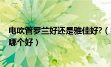 电吹管罗兰好还是雅佳好?（罗兰电吹管和雅佳5000电吹管哪个好）