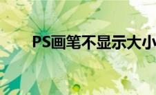 PS画笔不显示大小（ps画笔不显示）