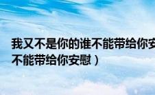 我又不是你的谁不能带给你安慰原唱歌词（我又不是你的谁不能带给你安慰）