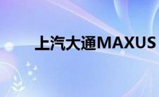 上汽大通MAXUS MIFA 9新车速览