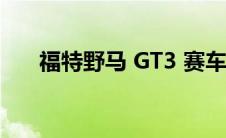 福特野马 GT3 赛车可能会推出街头版