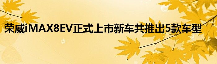 荣威iMAX8EV正式上市新车共推出5款车型