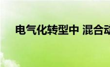 电气化转型中 混合动力将成最大增长点