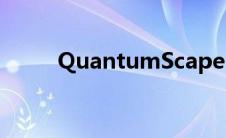 QuantumScape 展示其专有格式