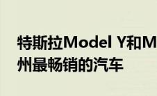 特斯拉Model Y和Model 3已经成为美国加州最畅销的汽车