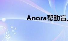 Anora帮助盲人的智能手套