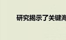 研究揭示了关键海洋养分的新模式