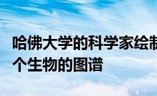 哈佛大学的科学家绘制了单个细胞如何构建整个生物的图谱