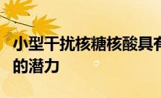 小型干扰核糖核酸具有抑制过度表达致癌基因的潜力