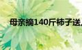 母亲摘140斤柿子送儿子返程满满的爱意