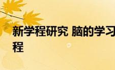 新学程研究 脑的学习是寻找与创建意义的过程