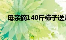 母亲摘140斤柿子送儿子返程满满的爱意