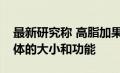 最新研究称 高脂加果糖饮食改变了肝脏线粒体的大小和功能