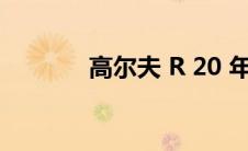 高尔夫 R 20 年版将与众不同