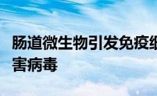 肠道微生物引发免疫细胞破坏神经系统中的有害病毒