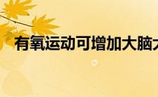 有氧运动可增加大脑大小 改善神经元健康